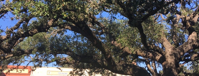The Hanging Tree @ Goliad Courthouse is one of TX 🤠.