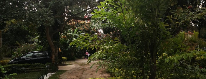 Tapekua Le Mayen is one of Wifi grátis em Santa Cruz Bolívia.