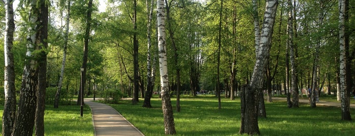 Пушкинский парк культуры и отдыха is one of Posti che sono piaciuti a Tatiana.