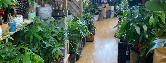 Trendy Flower Plant Shop is one of Lugares favoritos de Justin.