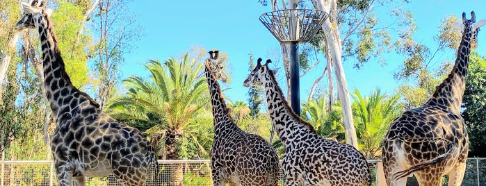 San Diego Hayvanat Bahçesi is one of Justin'in Beğendiği Mekanlar.