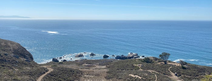 Mt. Tamalpias Steepravine State Park by Stinson Beach is one of Posti che sono piaciuti a Ryan.