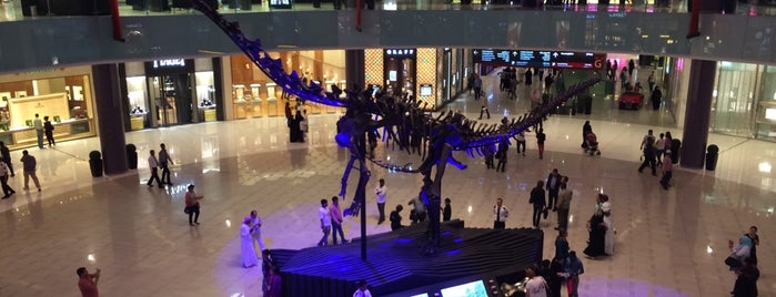 The Dubai Mall is one of UAE: Outings.