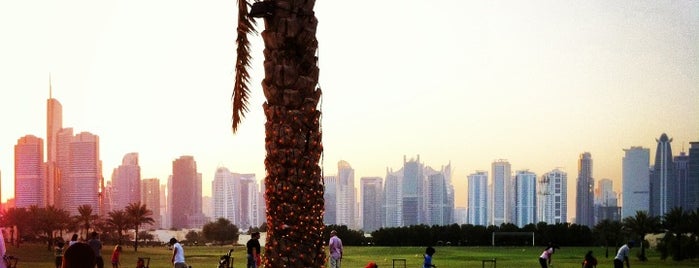 The Montgomerie Golf Club is one of UAE: Outings.