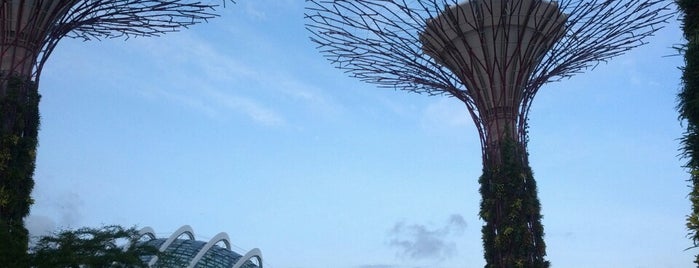 Gardens by the Bay is one of Singapore for friends.