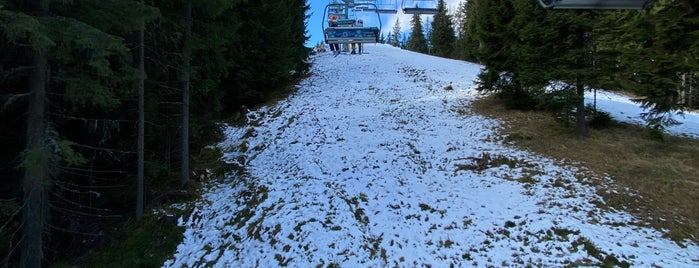Підйомник #12 / Lift #12 is one of Ski.