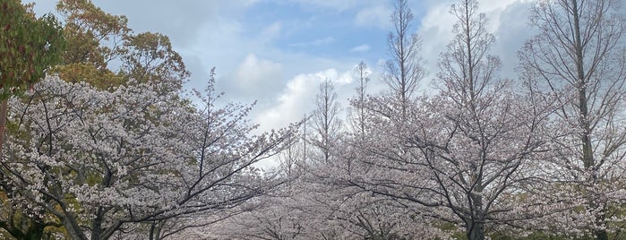 香月中央公園 is one of 観光6.