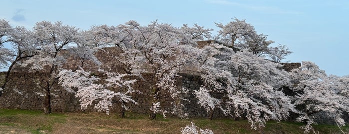 Komine Castle is one of 日本の100名城.