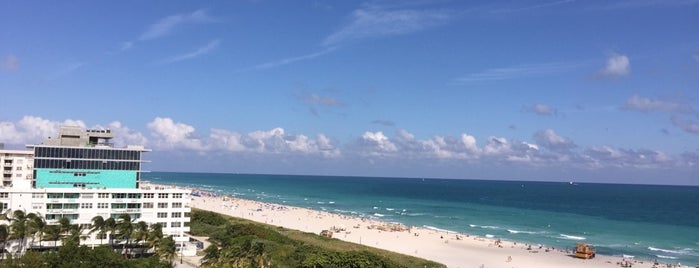 Marriott Stanton South Beach is one of Miami To-Do's.