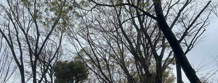 二の鳥居 is one of 神社_埼玉.