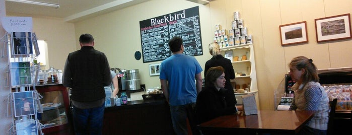 Blackbird is one of cafes 3.