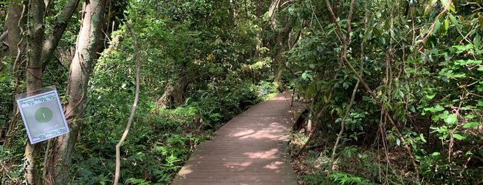 제주 곶자왈도립공원 is one of สถานที่ที่ Won-Kyung ถูกใจ.