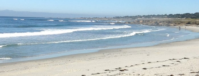 Spanish Bay is one of Dog-Friendly Monterey Peninsula.