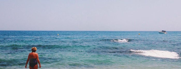 Cala Sa Conca is one of Playas-Calas-Natura.