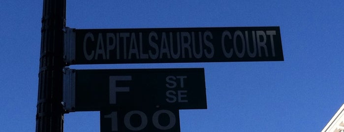 Capitalsaurus Court is one of District of Columbia.