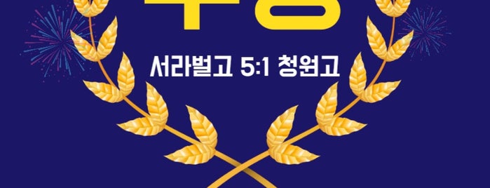 노원마들스타디움 is one of K리그 1~4부리그 경기장.