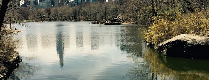 Central Park is one of NYC.