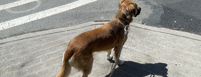 Carroll Gardens is one of The Great Outdoors in NY.