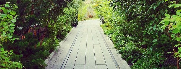 High Line is one of NY See.