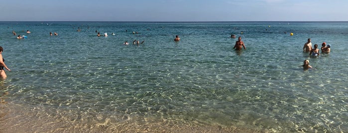Protaras Beach is one of Nataliya : понравившиеся места.