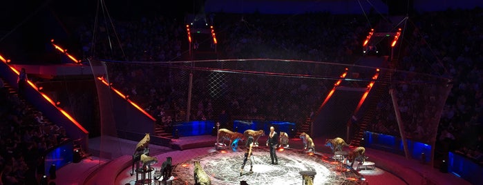 The Moscow State Circus is one of Lugares favoritos de Nataliya.