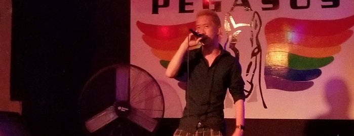 Patio Karaoke Bar at Pegasus is one of Work.