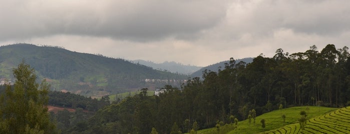 Cairn Hill is one of In My Love Ooty.