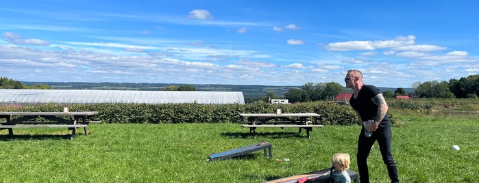 Finger Lakes Cider House is one of adventures outside nyc.