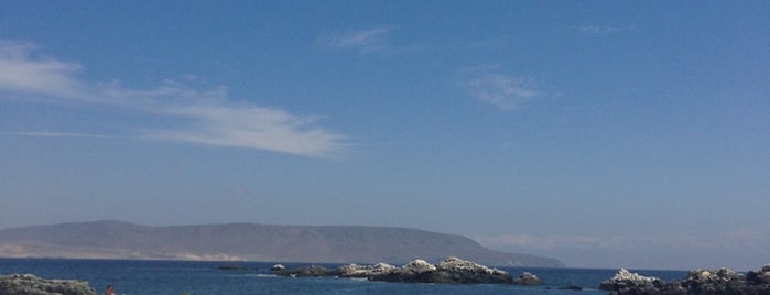 Playa Blanca is one of Lieux qui ont plu à Javier.