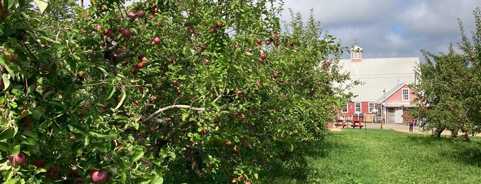 Brookfield Orchard is one of Trip New York-Vermont.