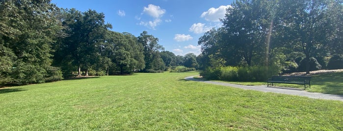 Olmsted Linear Park is one of Places to walk, run and hike around Atlanta.