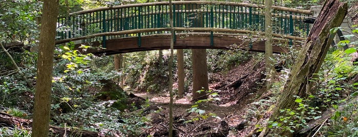 Deepdene Park is one of Places to walk, run and hike around Atlanta.