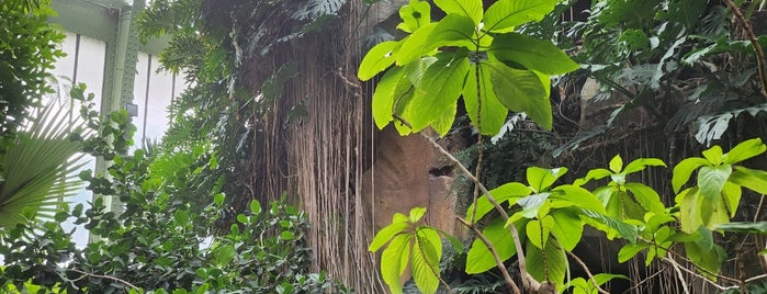 Grandes Serres du Jardin des Plantes is one of Expositions, visites et balades.