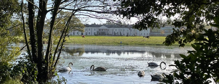 Castlemartyr Resort is one of Whiskey Trail, Ireland.
