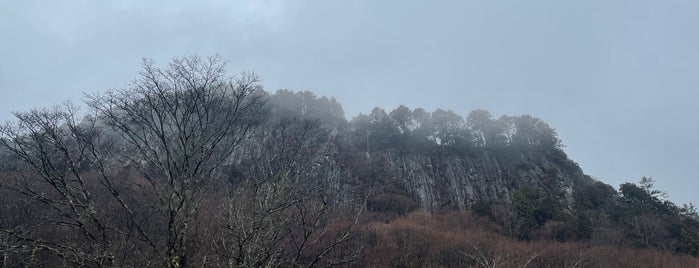 屏風岩公苑 is one of 大和の風物詩 11月.