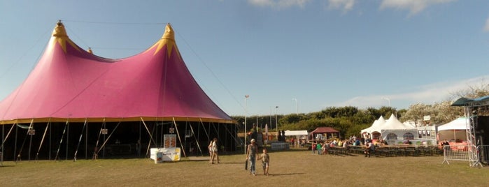 Afro C Festival is one of Björn'un Beğendiği Mekanlar.