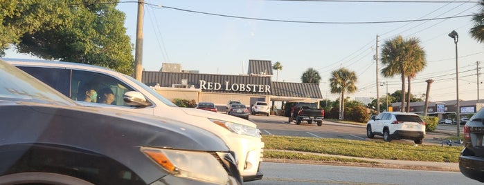 Red Lobster is one of My places to go for great Food..