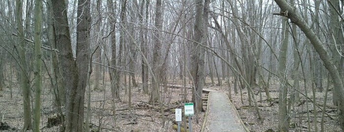 Joany's Woods is one of Some SWOntario Favourites.