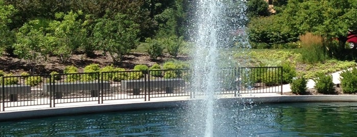Horace Mann Reflection Pond is one of Springfield, IL.