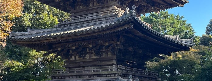 摠見寺 三重塔 is one of 麒麟がくる ゆかりのスポット.