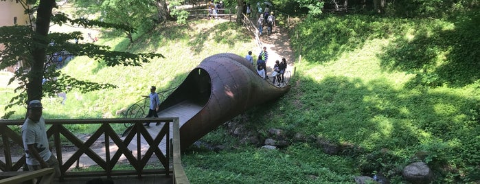 ムーミン橋 is one of 公園_埼玉県.