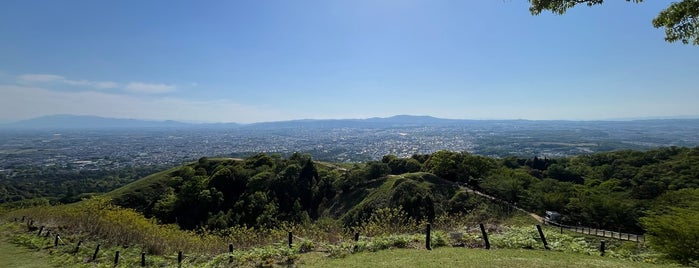 Mt. Wakakusa is one of お気に入り.