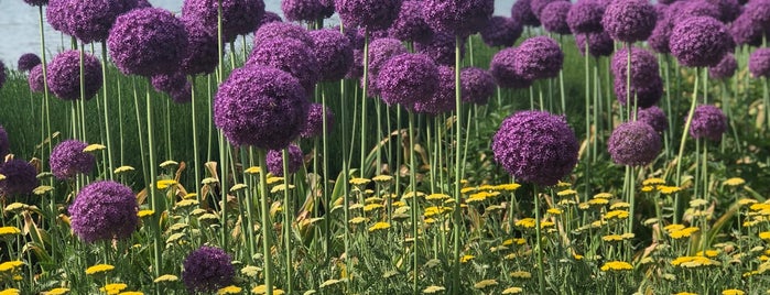 Water's Edge Garden is one of Posti che sono piaciuti a G.