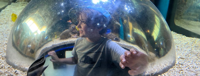 Adventure Aquarium is one of USA Philadelphia.