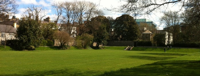 Iveagh Gardens is one of Never been.