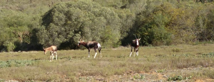 Bontebok National Park is one of To do with Michel.