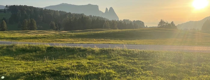 Alpe di Siusi / Seiser Alm is one of Tempat yang Disimpan Dat.