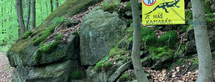 Viničná cesta is one of Turistické cíle v Jizerských horách.