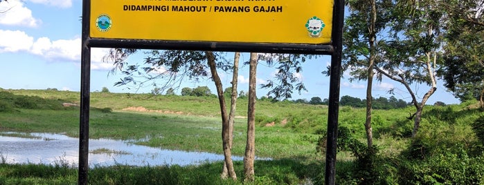 Taman Nasional Way Kambas is one of travel.