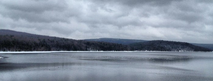 Lake Scranton is one of สถานที่ที่บันทึกไว้ของ Amanda.